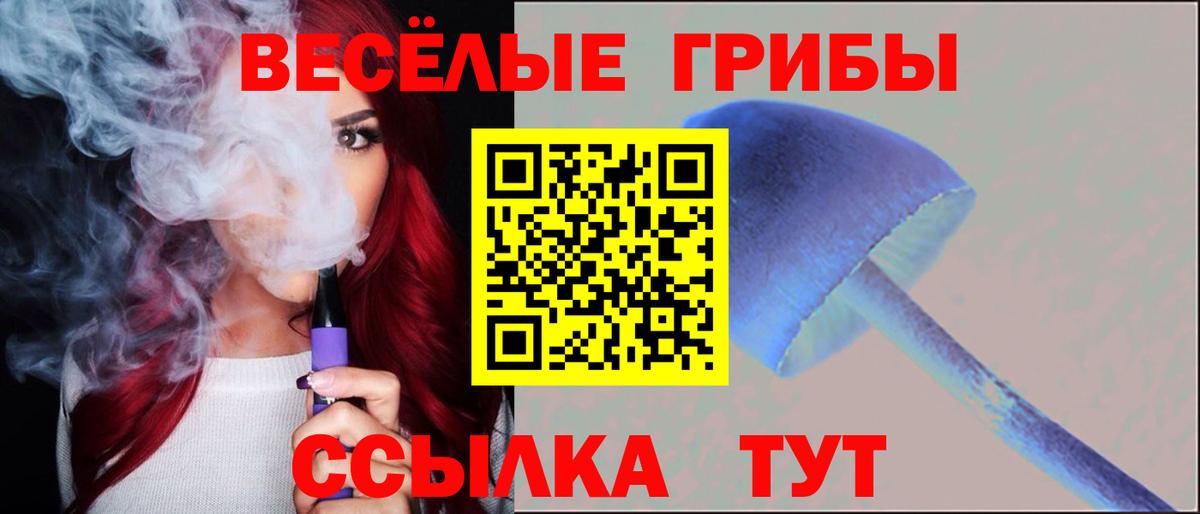 Галлюциногенные грибы прущие грибы Аша